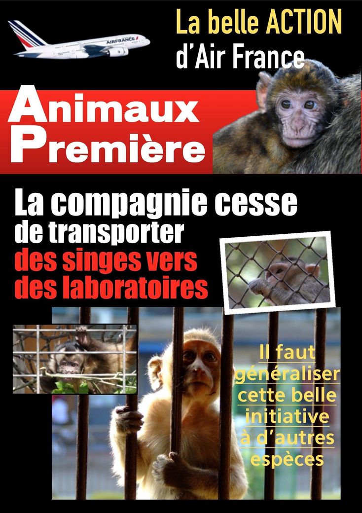Air France va cesser d'expédier des singes aux laboratoires