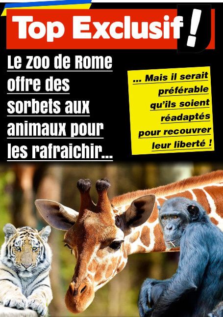 Image: le zoo de Rome offrre des sorbets aux animaux