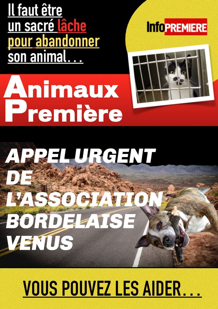 Association Vénus, appel urgent aux amis des animaux