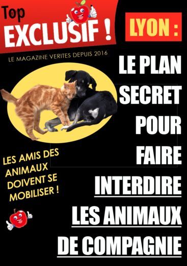Lyon : Le plan secret pour faire interdire les animaux de compagnie